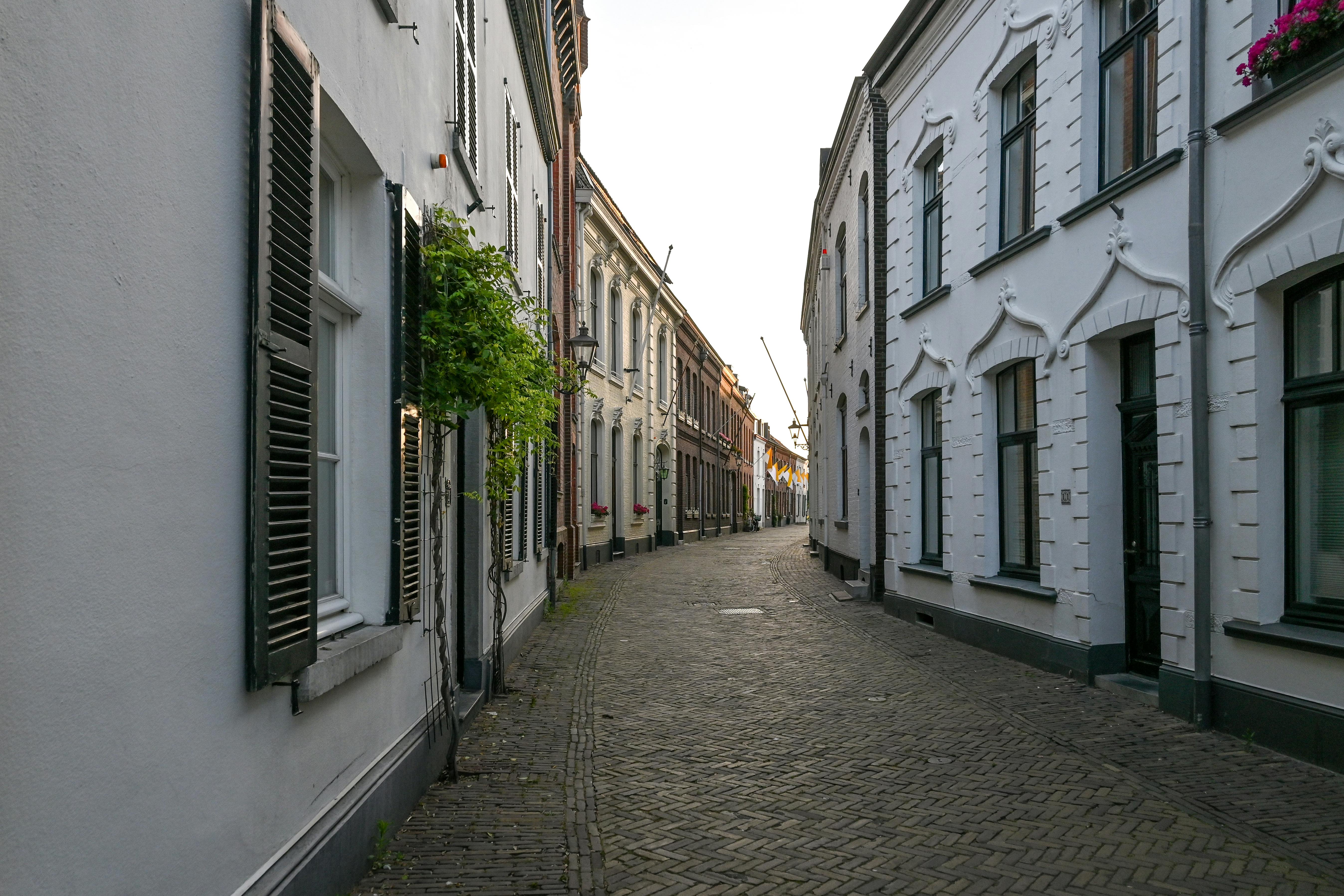 Proyectos realizados